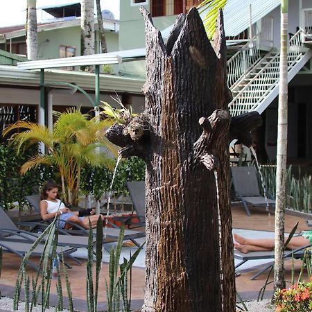 La Fortuna Arenal Poshpacker 호스텔 외부 사진