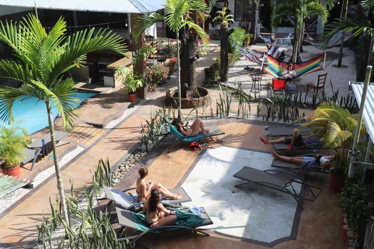 La Fortuna Arenal Poshpacker 호스텔 외부 사진